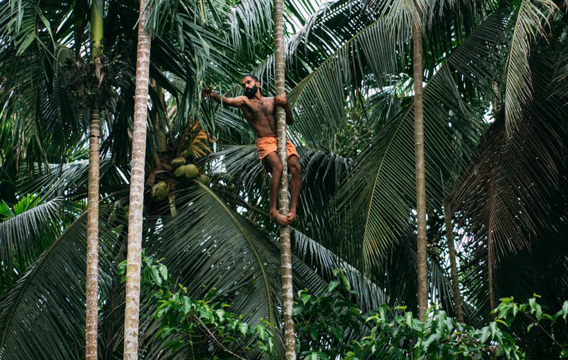 Tulunadu Trails